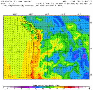 As shown by the UW's NAM model, temperatures on Saturday are expected to soar into the upper 50s across Western Washington in the early afternoon.