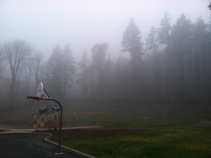 Foggy skies dominated the weather in Seattle yesterday from dawn to dusk--an all too familiar sight this winter.
