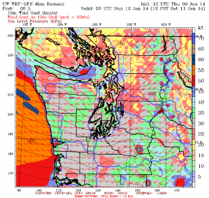 The University of Washington's WRF weather model shows peak wind gusts near 40 mph Saturday afternoon.