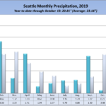 Seattle rainfall in 2019, by month